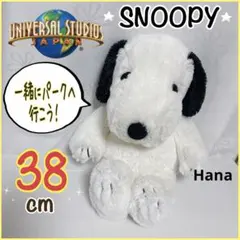 USJ限定 特大 PEANUTS スヌーピー オリジナル ぬいぐるみ インテリア