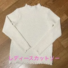 Item thumbnail for item 2c1de28a-1cb1-4374-b4de-c2533c0af72f