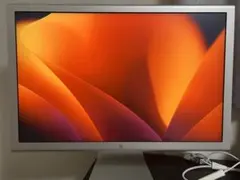 Apple Cinema Display 23inch M9178J/A