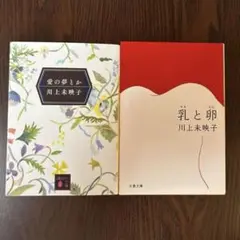 川上未映子　2冊セット　バラ売り不可