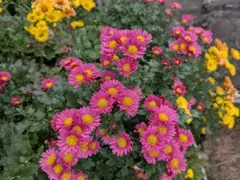 Hanako様 リクエスト 2点 まとめ商品