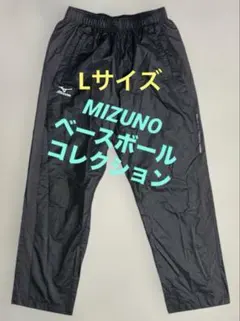 Item thumbnail for item 4db5fdb6-82a0-49eb-880b-5433d8e21d8a