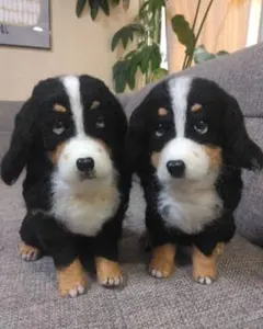 マルマル様専用ページです