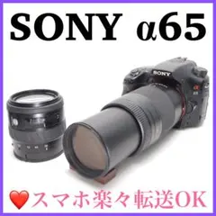 ❤️付属品豊富❤️SONY α65 長く使える！高画質＋超望遠レンズ付き 質感 ❤️付属品豊富❤️SONY α65 長く使える！高画質＋超望遠レンズ付き