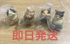 木彫り猫フィギュア しろもふさんのおぱんつ猫 フルコンプセット
