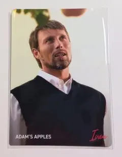 マッツ・ミケルセン　生誕60周年祭　特典　カード　アダムズ・アップル