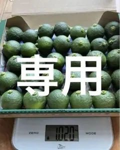 あゆたん様専用　3キロの青柚子　国産　農薬不使用　あおゆず