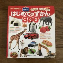 はじめてのずかん300