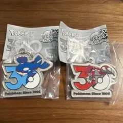 ポケモン 30周年 メタルチャーム レッグウザ カイオーガ グラードン