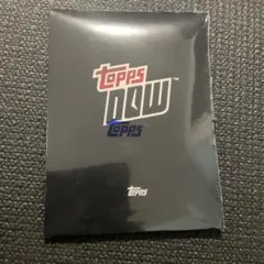 2025 toppsnow ワールドシリーズチャンピオンズセット　ドジャース