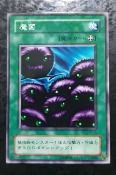 Item thumbnail for item 83566309-d790-461a-a213-df9b86bbb445