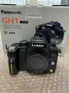 Panasonic LUMIX GH1 블랙 바디 (렌즈 없음)