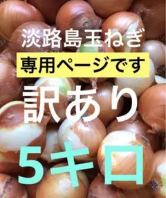 玉ねぎ　訳あり　5キロ