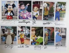 東京ディズニーリゾート コレクションカード 全30種コンプリートセット