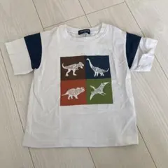 kladskap クレードスコープ 恐竜 Tシャツ 100