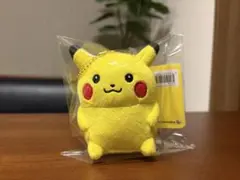 ナガノ×ポケモン限定コラボ 24じかんポケモンchu ピカチュウ