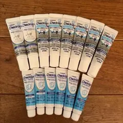 LION DENT. Check-Up 試供品 14本セット