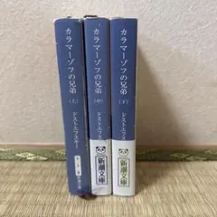 Item thumbnail for item 264c32ed-6a55-4e23-9914-bc601fccb6c5