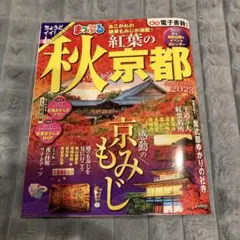 Item thumbnail for item 911db2b1-fc6a-471d-aae9-1f1f5e2a8931