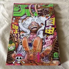 週刊少年ジャンプ 2022年 42号 ONE PIECE ニカ 表紙 付録付き | Mercari