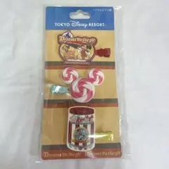 東京ディズニーリゾート ヘアクリップ