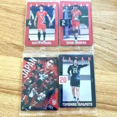 日本代表 バレーボール選手カードセット