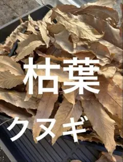 Item thumbnail for item 3409fc5e-7d56-4e44-a276-6972ad30dbdb