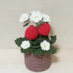 jun♪プロフ必読様 リクエスト 2点 まとめ商品