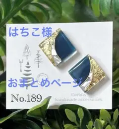 はちこ様 リクエスト 2点　No.189,182 ノンホール樹脂ピアス