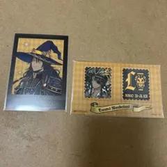 ツイステッドワンダーランド ツイステ ぱしゃこれ 特典 レオナ