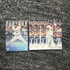 【ベースボールカード】ペルドモ【オリックス・バファローズ】