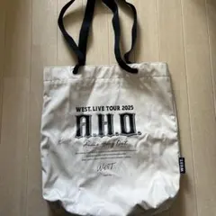 Item thumbnail for item 17776d4d-b70c-42e2-84de-003cc60d1c81