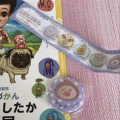 新品　未開封　こびとづかん ファンシー刺繍缶バッチ　アマクリソツ　A4チラシ付き