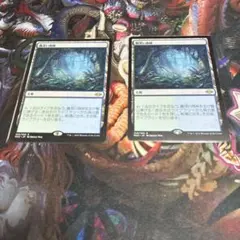 MTG】霧深い雨林 日本語版 4枚 - メルカリ