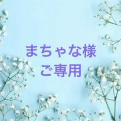 ⭐️ご購入前に必ずコメントをお願いします　90、バラ苗　バラ挿し木苗　強健種