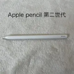 Apple Pencil 第2世代 動作確認済み