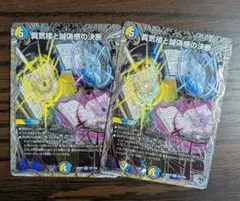 真気楼と誠偽感の決断 パーフェクトペテンシー 二枚 - メルカリ