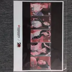 PHOENIXDARTS x WOOAH PHOENicAカード 5枚セット