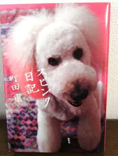 スピンク日記 　町田康