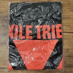 EXILE TRIBE REVOLUTION Tシャツ 黒/赤