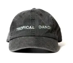 新品】細野晴臣 灰皿 (TROPICAL DANDY) ASH TRAY - メルカリ