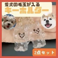 Item thumbnail for item 9a5b90eb-d680-41c1-bf86-9341fcdb0a18