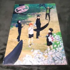ハイキュー!! クリアファイルセット 烏野・音駒 日向 影山 黒尾 研磨