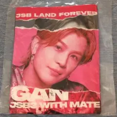 NAOTOクッションレア3代目JSB LAND Forever - メルカリ