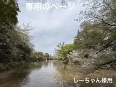 しーちゃん様の専用のページ　第20回鉄道の日記念　2013硬券乗車券セット