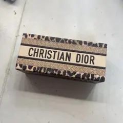 CHRISTIAN DIOR ヒョウ柄フラグメントケース
