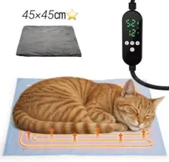 Item thumbnail for item 3dea0bf3-3d7e-47ce-b9db-7298fcccc457