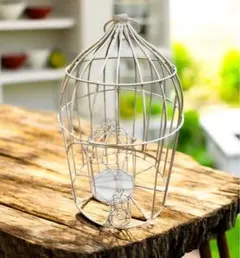 2025年最新】鳥かご アンティークの人気アイテム - メルカリ