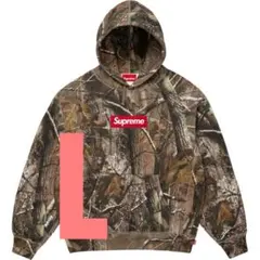 Box Logo Hooded Sweatshirt Large