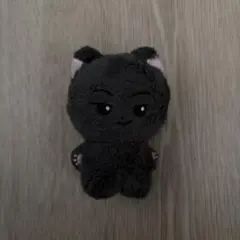 ENHYPEN ジェイ マスター ぬい 10センチ - メルカリ